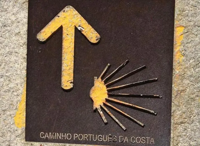 Da Joaninha * 卡米尼亚