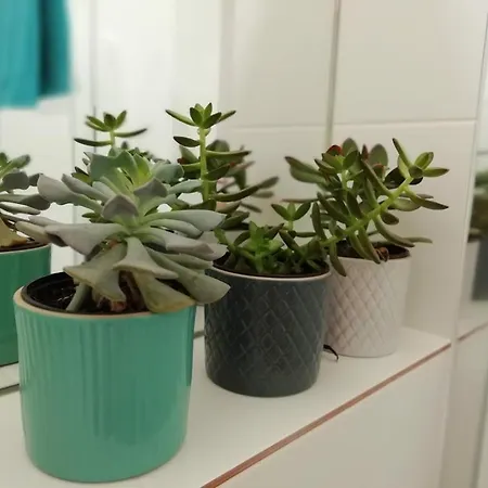 Séjour chez l'habitant Da Joaninha *