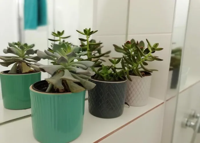 Accommodatie bij particulieren Da Joaninha *